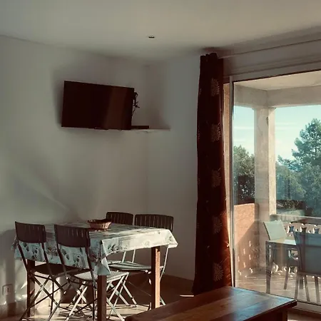 فيلة Le Thyreneen *