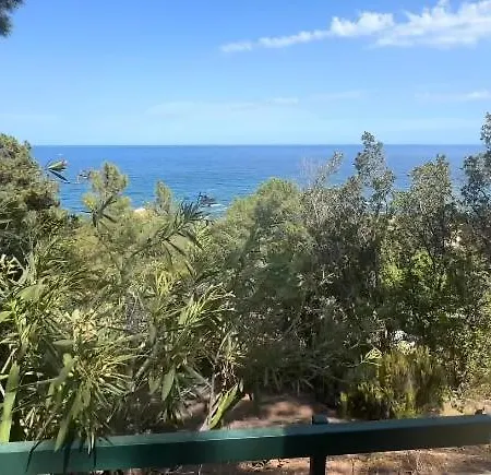 Le Thyreneen فيلة *