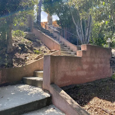 Le Thyreneen ساري سولينزارا